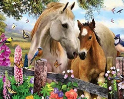 Алмазная живопись лошади сад DIY 5d картина Стразы Набор для вышивания стежка мозаичные рисунки Point De Croix Diamant - Цвет: Белый