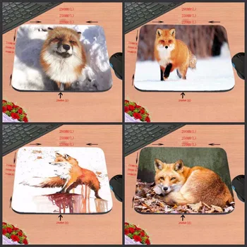 

Mairuige Cheap Best Funny Animals Deserts Ear Fox Funny Custom Mouse Pad for Size 18*22cm and 25*29cm And 25*20cm As Gift