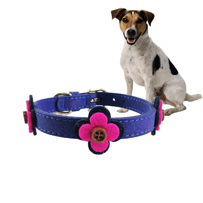 luxury brand dog collars