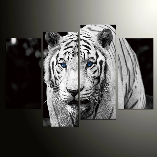 Download 640 Koleksi Gambar Hd Harimau Putih Terbaik HD
