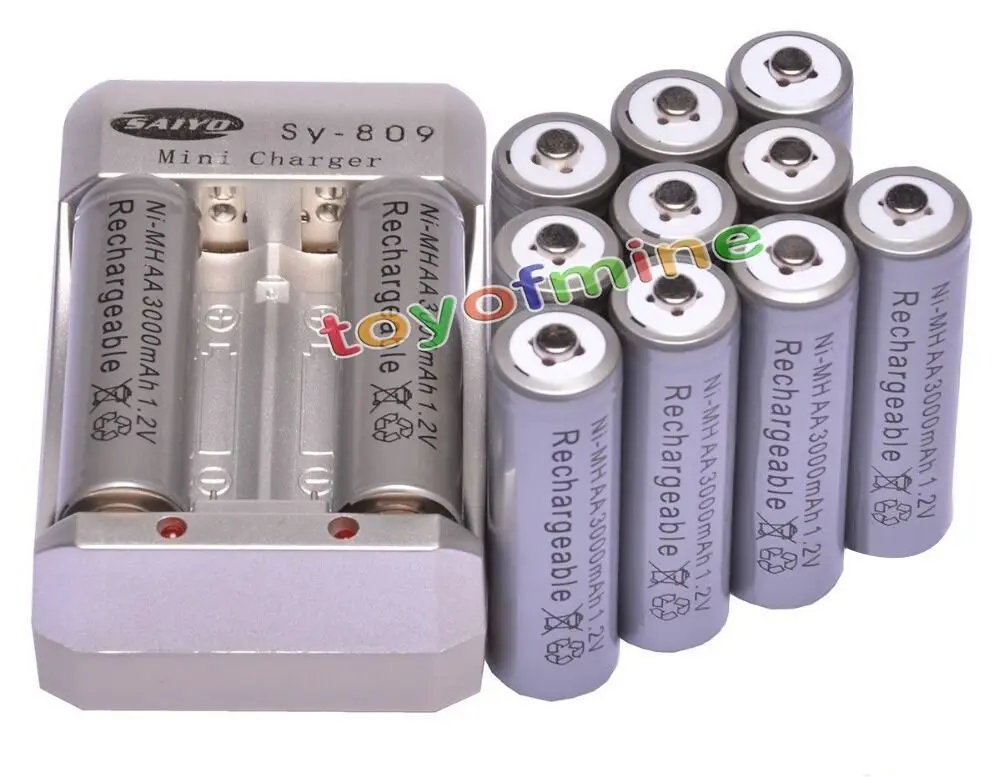 12x AA 3000 мАч 1,2 в Ni-MH аккумуляторная батарея серый для RC игрушечная камера + зарядное устройство + штекер