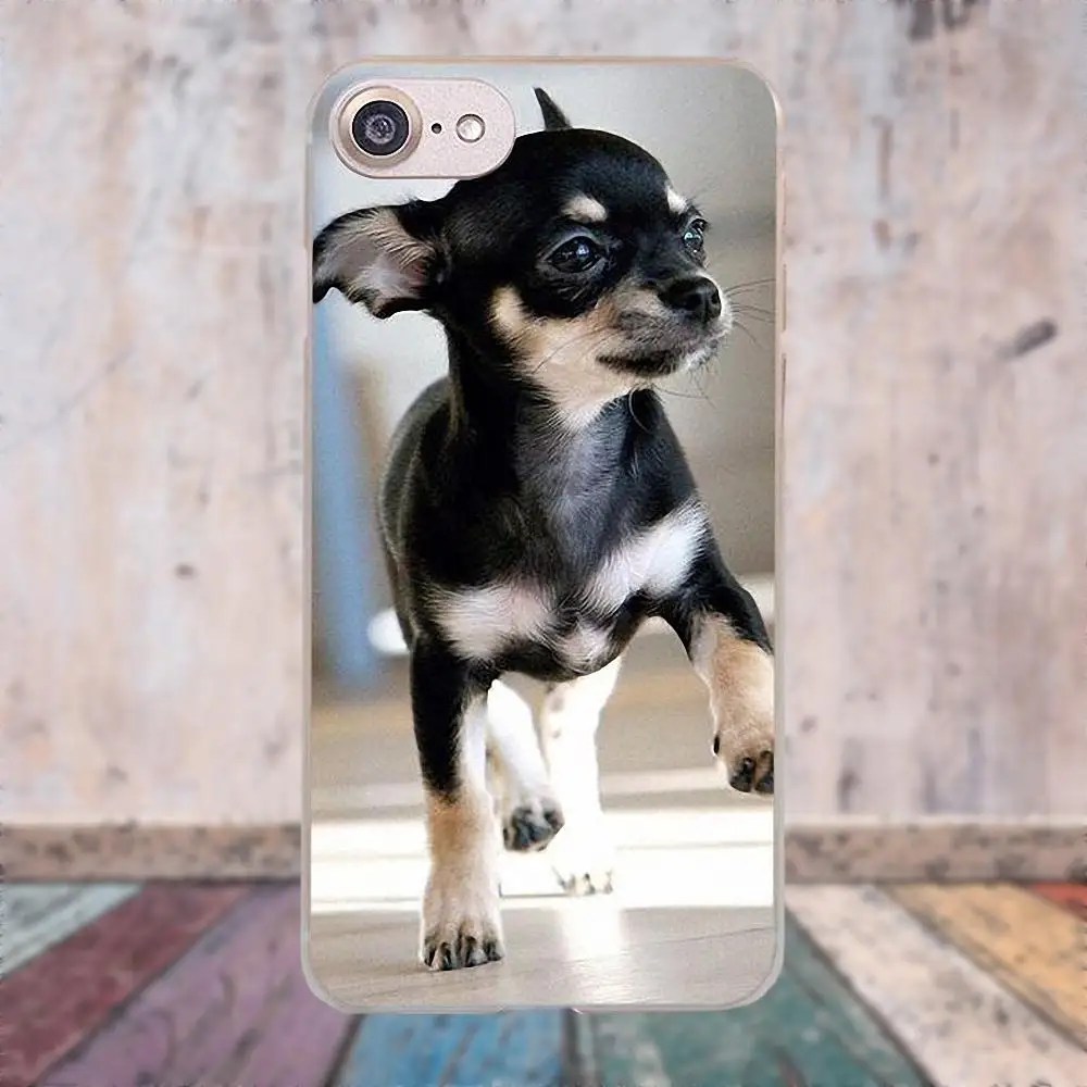 Love Чихуахуа собака щенок для Apple iPhone 4 4S 5 5C SE 6 6S 7 8 Plus X для LG G3 G4 G5 G6 K4 K7 K8 K10 V10 V20 чехол для телефона - Цвет: as picture