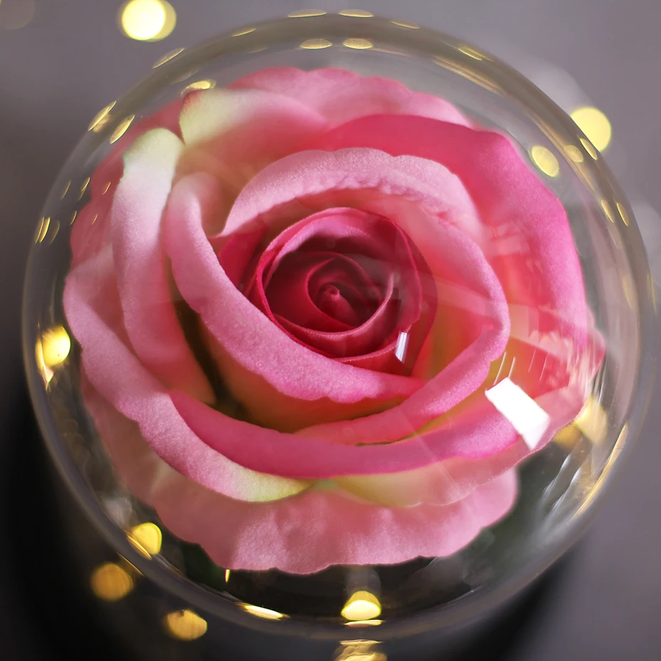 LED Eternal Flower Immortal Flora Light Up Dome Beauty and The Beast Rose In A Flask Valentine's Day Birthday Christmas Day Gift