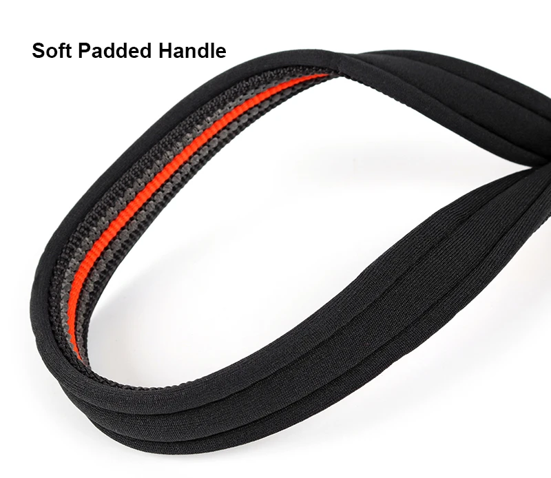 dog-leash-30308-o1jpg