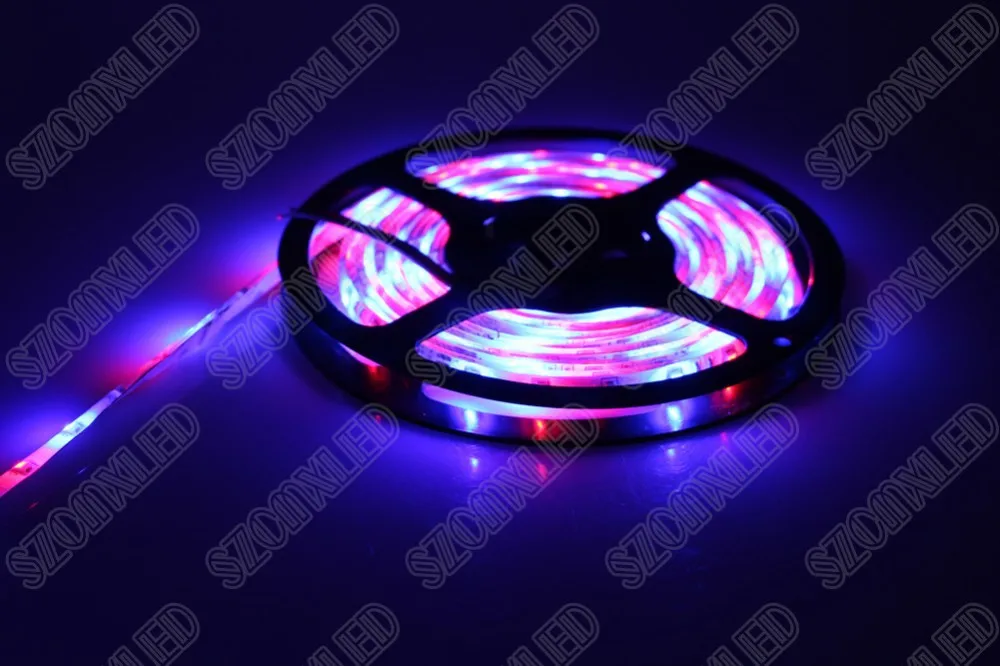 5 м 300 светодиодов 3528 SMD RGB светодиодные полосы света+ 44key RGB пульт дистанционного управления Рождественские огни Гибкая светодиодная лента лампа с высоким качеством