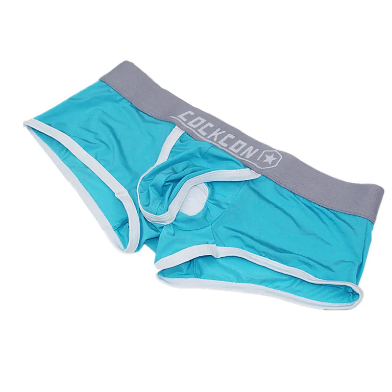

Sexy Gay Underwear Men Thin Transparent Boxer Shorts Man Breathable Low Waist Capsule Underpants calzoncillo Plus Size L-3XL