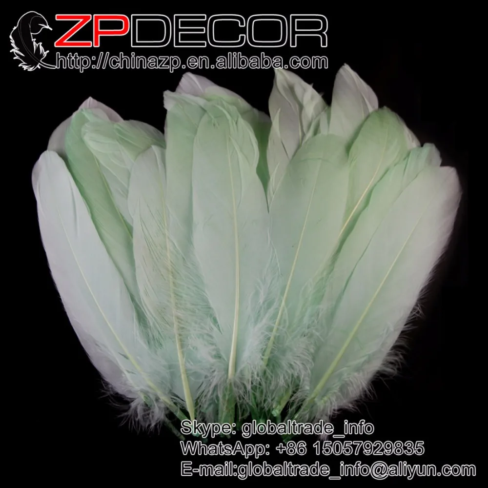 

ZPDECOR Feather 100pcs/lot Hand Select Premuim Quality Fluffy Mint Green Goose Nagoire Wholesale Feathers for Headdress