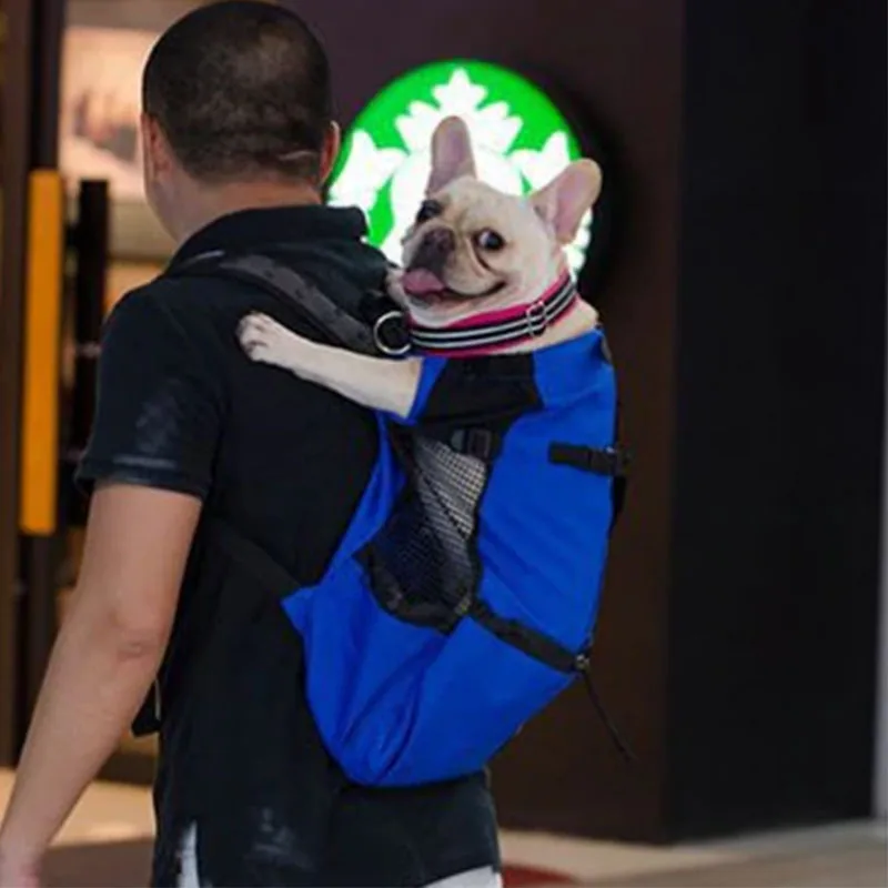 Собака рюкзак-переноска