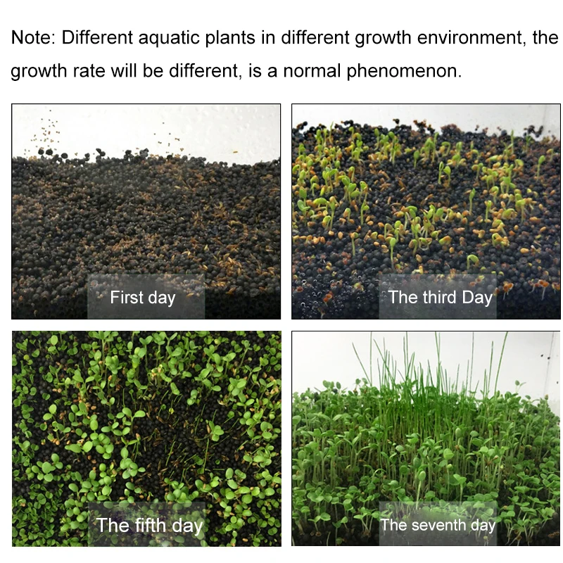 7 видов Семена аквариумных растений водоросли аквариум водная трава Семена легко растущий аквариум Растения Waterscape аквариум украшения