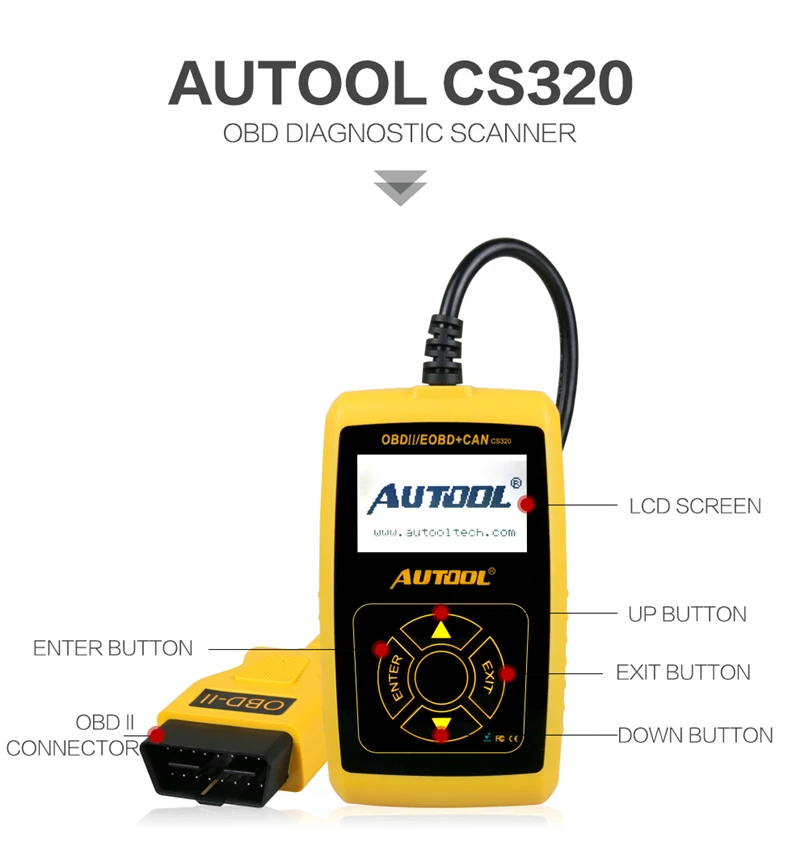 CS320_01