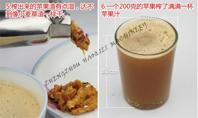 grass juicer (15)