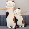 Pusheen Plush