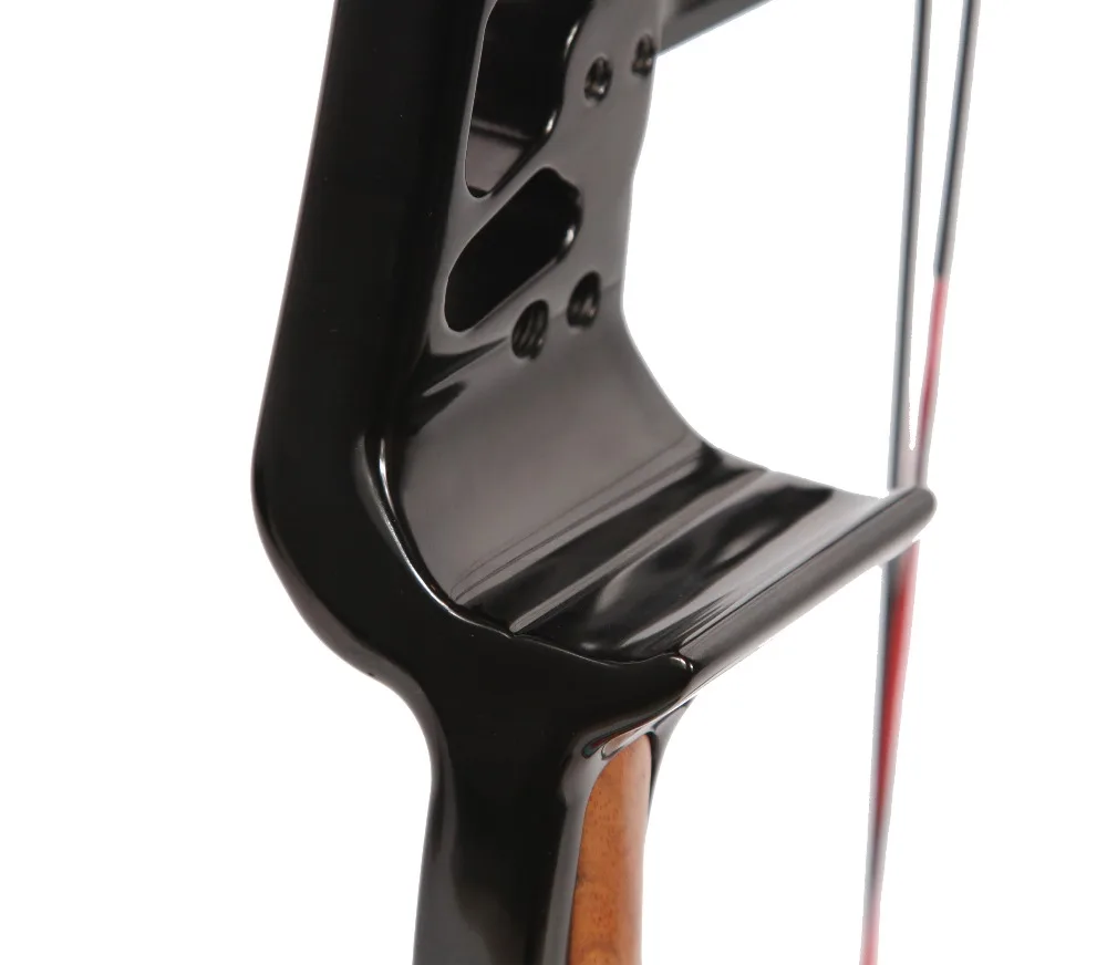 Sanlida Prodigy X10 High End Target CNC Compound Bow 310FPS 50 60lbs 26 28 ''анодированный охотничий Спорт на