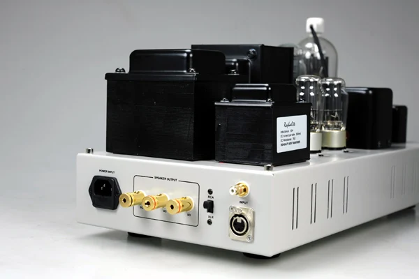 Raphaelite CSM05 HiFi усилитель мощности моноблок walve amp 805 вакуумная трубка с защитной крышкой