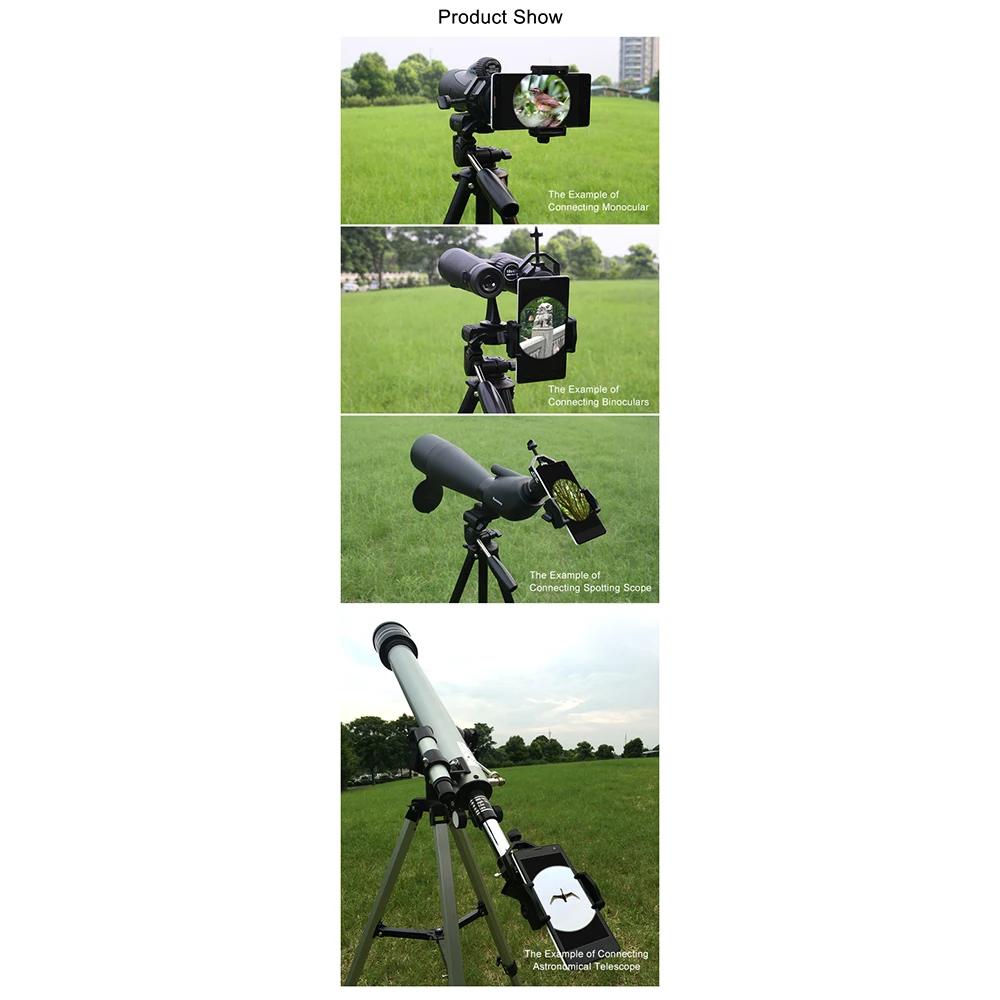 CYX5597-D7