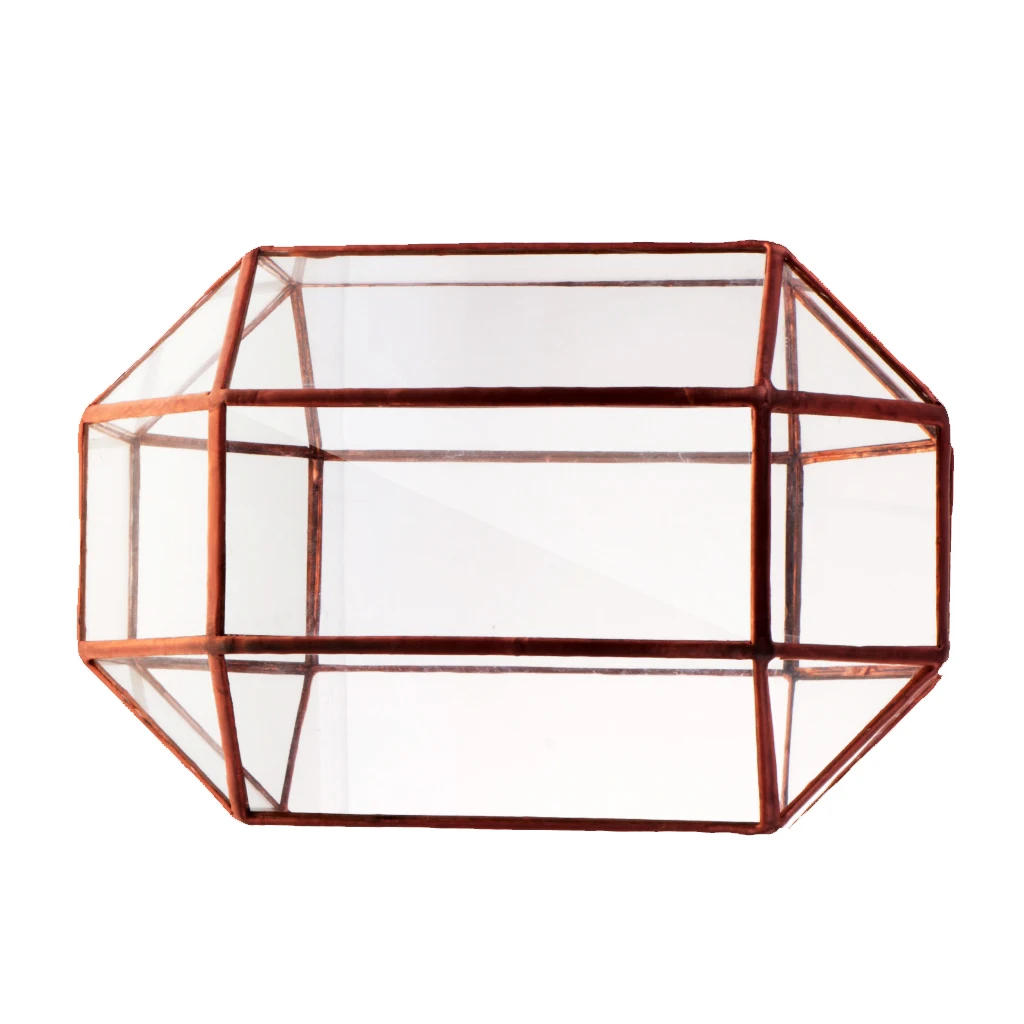 Винтажное художественное современное металлическое стекло геометрический Террариум настольное суккулентное растение коробка горшок ваза крытый плантатор медь