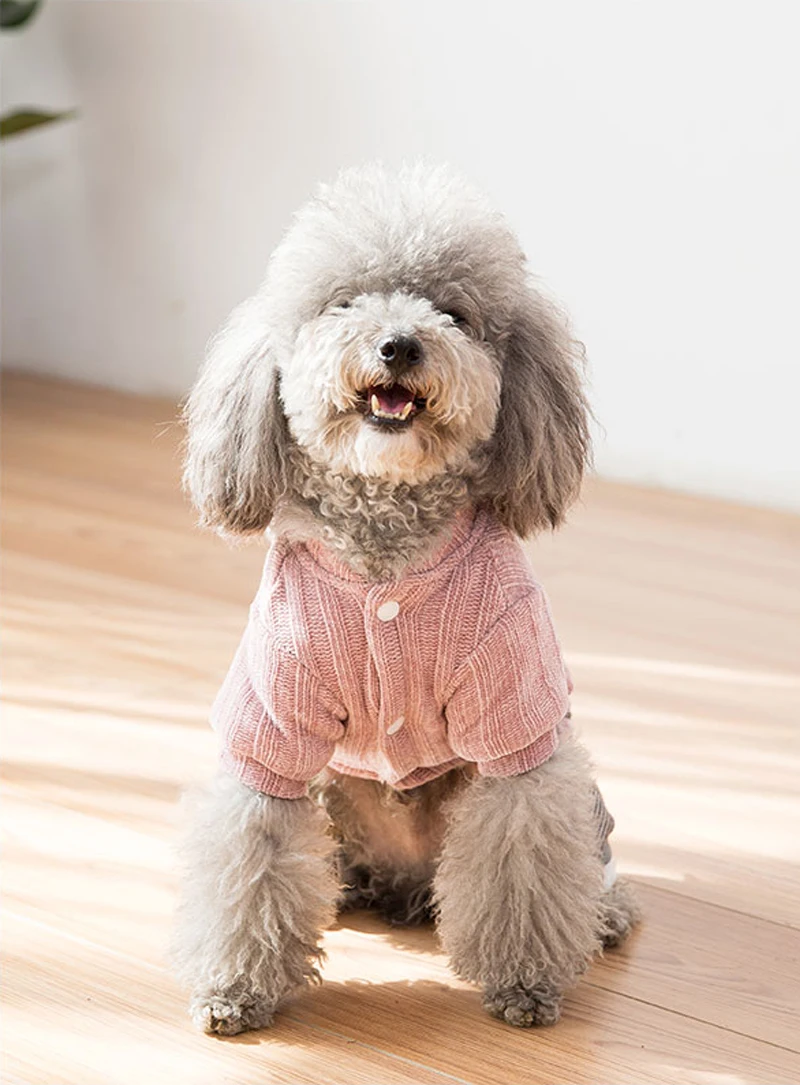 french bulldog sweater (7)
