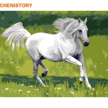 CHENISTORY Caballo Blanco DIY pintura Digital por números regalo único hogar pared arte cuadro pintado a mano pintura de pared ilustración al óleo(China)