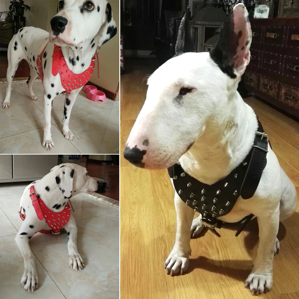5 Warna Kulit Spiked Studded Dog Harness Untuk Anjing Pitbull
