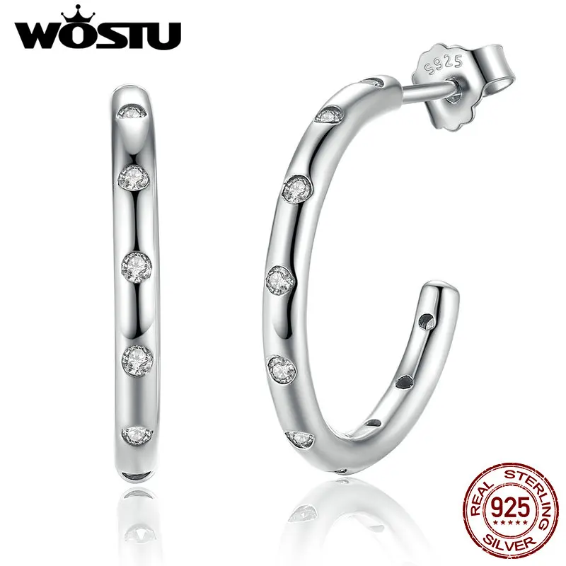 

WOSTU Real 100% 925 Sterling Silver Clear Zircon Round Hook Stud Earring Minimalist for Women Wedding Jewelry FIE041
