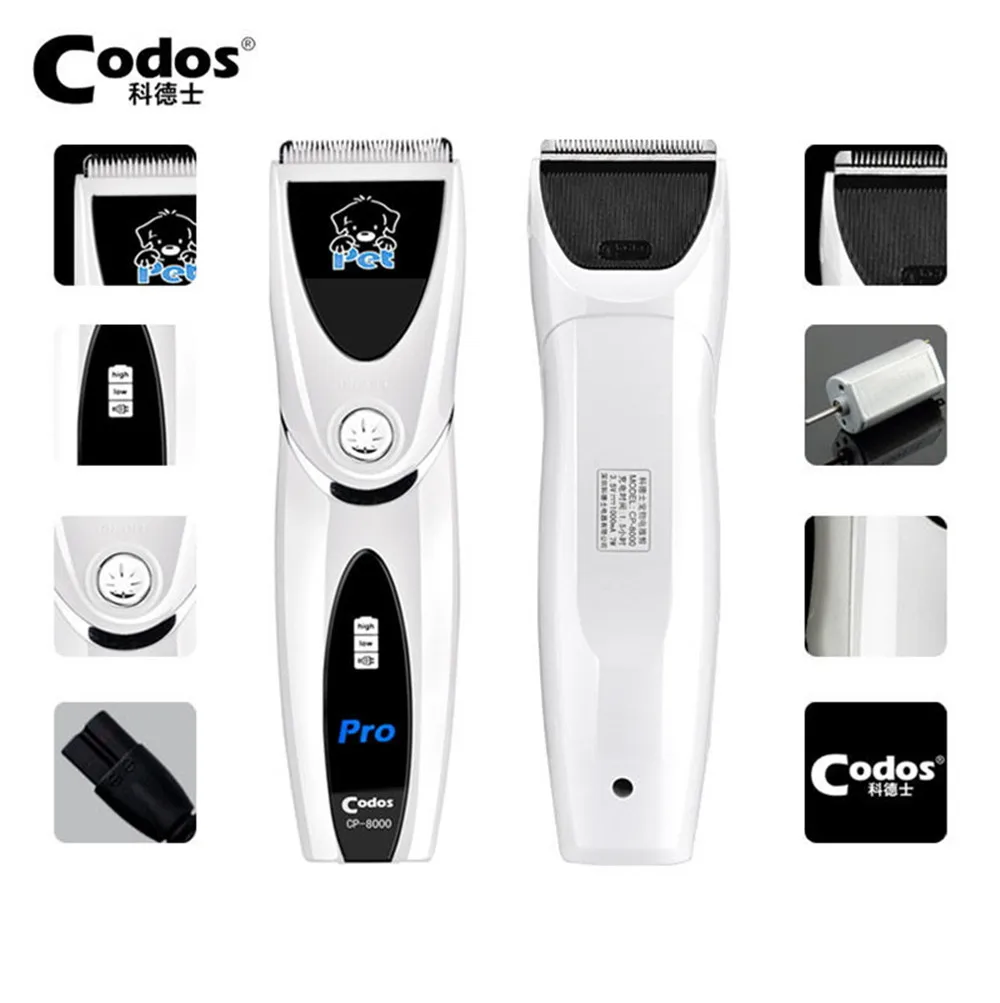 CP-8000 (2)
