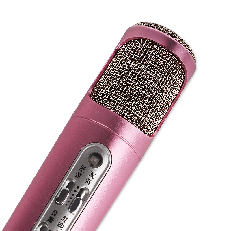SikkiS Girl Mobile Computer Microphone Record Sing