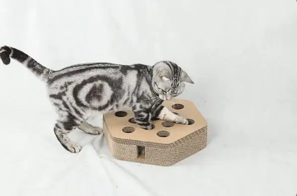 Х 2 шт HEXA форма Кошка Скребок толстый кот Кровать картонная бумага Высокое качество Когтеточка с забавными игрушками