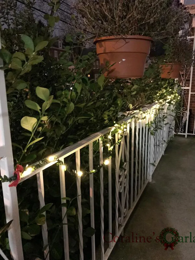 String  Lights (5)