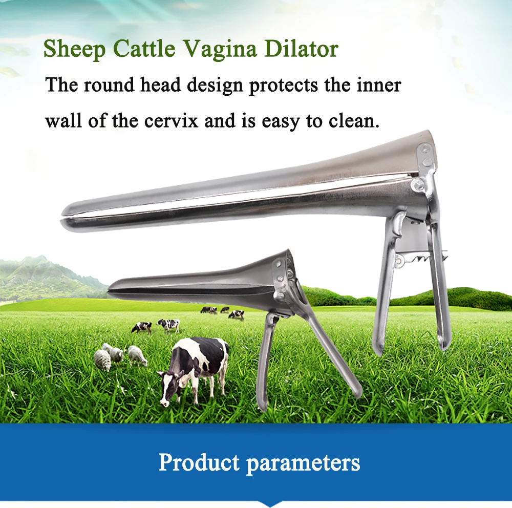 Vaginal speculum cattle sheep cow goat dilator artificial insemination equipment veterinary instrument farming animals