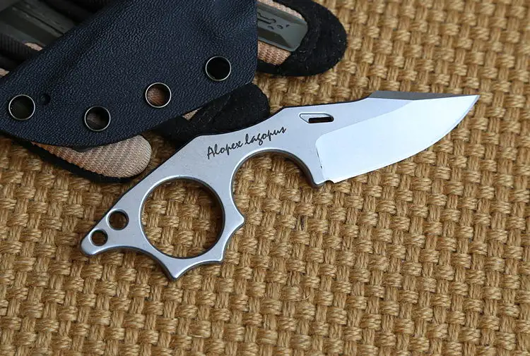 EDC Knife N690 Steel Riding Fishing Small Straight Knife Mountaineering Defense Tools Small Cutter