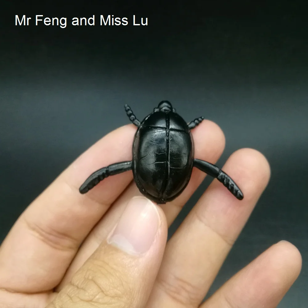 

Black Mini Beetle Shocker Joke Prank Model Plastic Animal Learning Toy Educational Game Brain