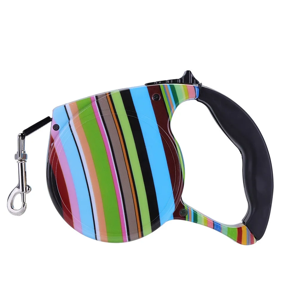 cat dog leash walking