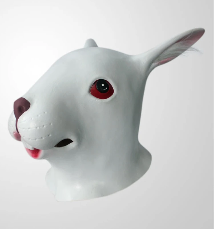Rabbit mask12