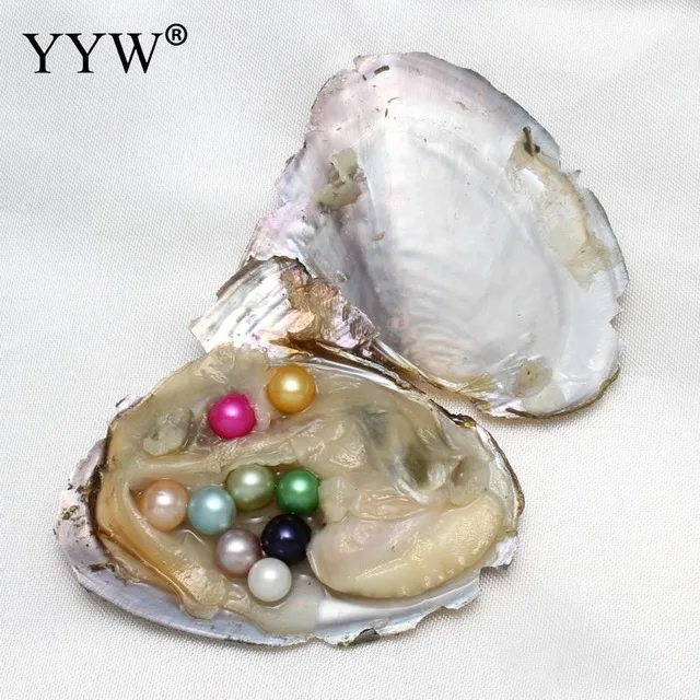 7-8mm-Near-round-akoya-oysters-pearls-single-skittle-pearls-oysters-individually-wrapped-Birthday-Wedding-Gift.jpg_640x640