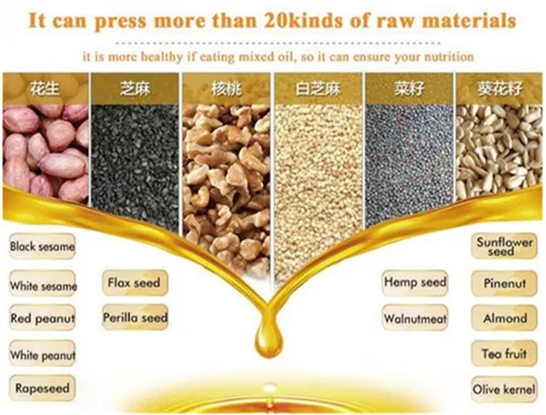 Popular palm kernel nut seeds oil mill machine flaxseeds oil expeller press
