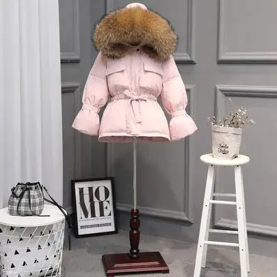 Воротник из натурального меха енота, новинка, зимнее пальто для женщин, длинный пуховик, Толстая теплая пуховая куртка, белое пуховое пальто размера плюс, верхняя одежда - Цвет: pink coat brown fur