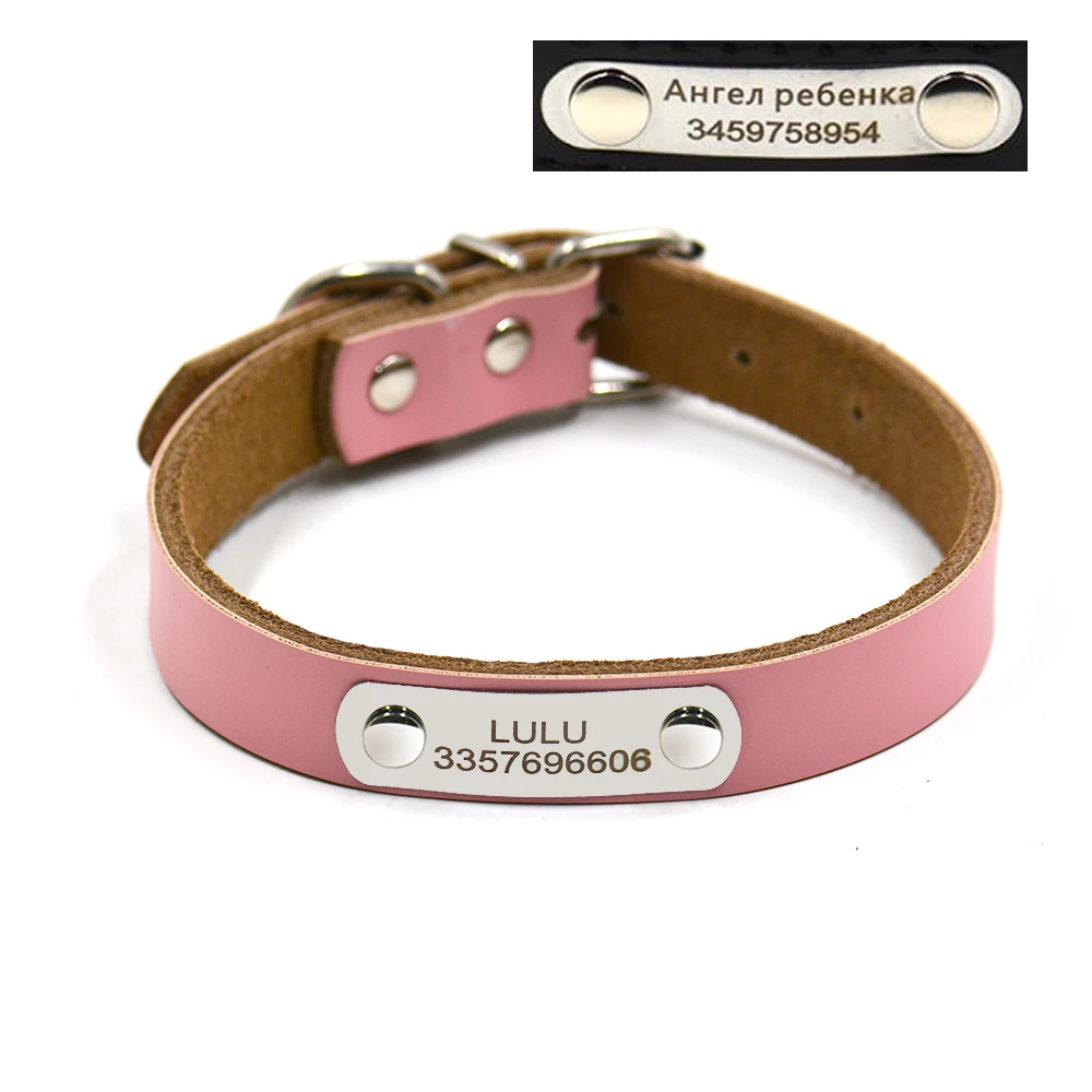 Tag Free Dog Collars Tag Free Dog Collars