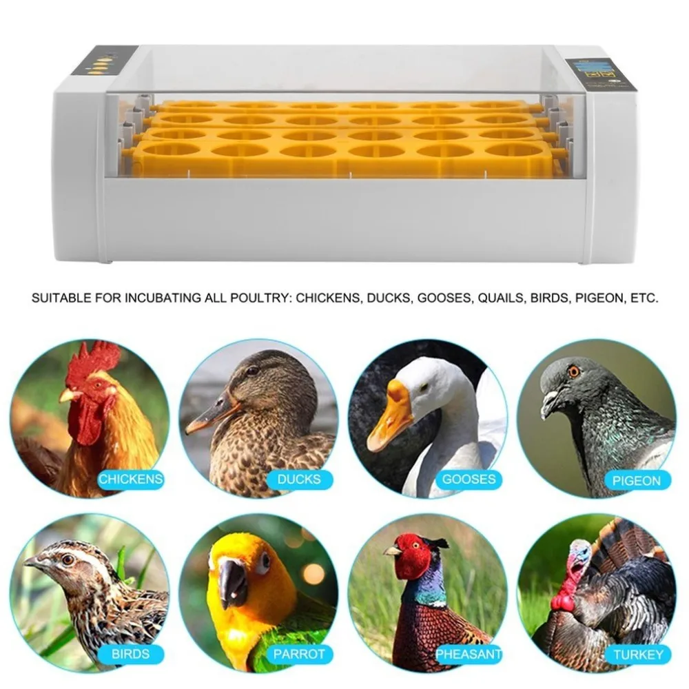 Практичный мини-инкубатор с 24 яйцами для курицы, птицы, перепела, индейки, уток, гуси, для домашнего использования, автоматический поворот яиц, большая емкость