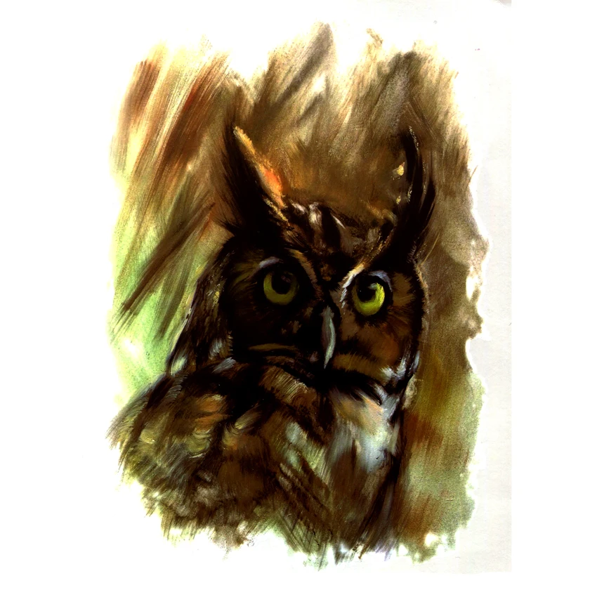 

Owl In the Night Waterproof Temporary Tattoo Sticker Tatuajes Tatoo Sleeve Henna Tattoo Decals Body Art cheap stuff stickers