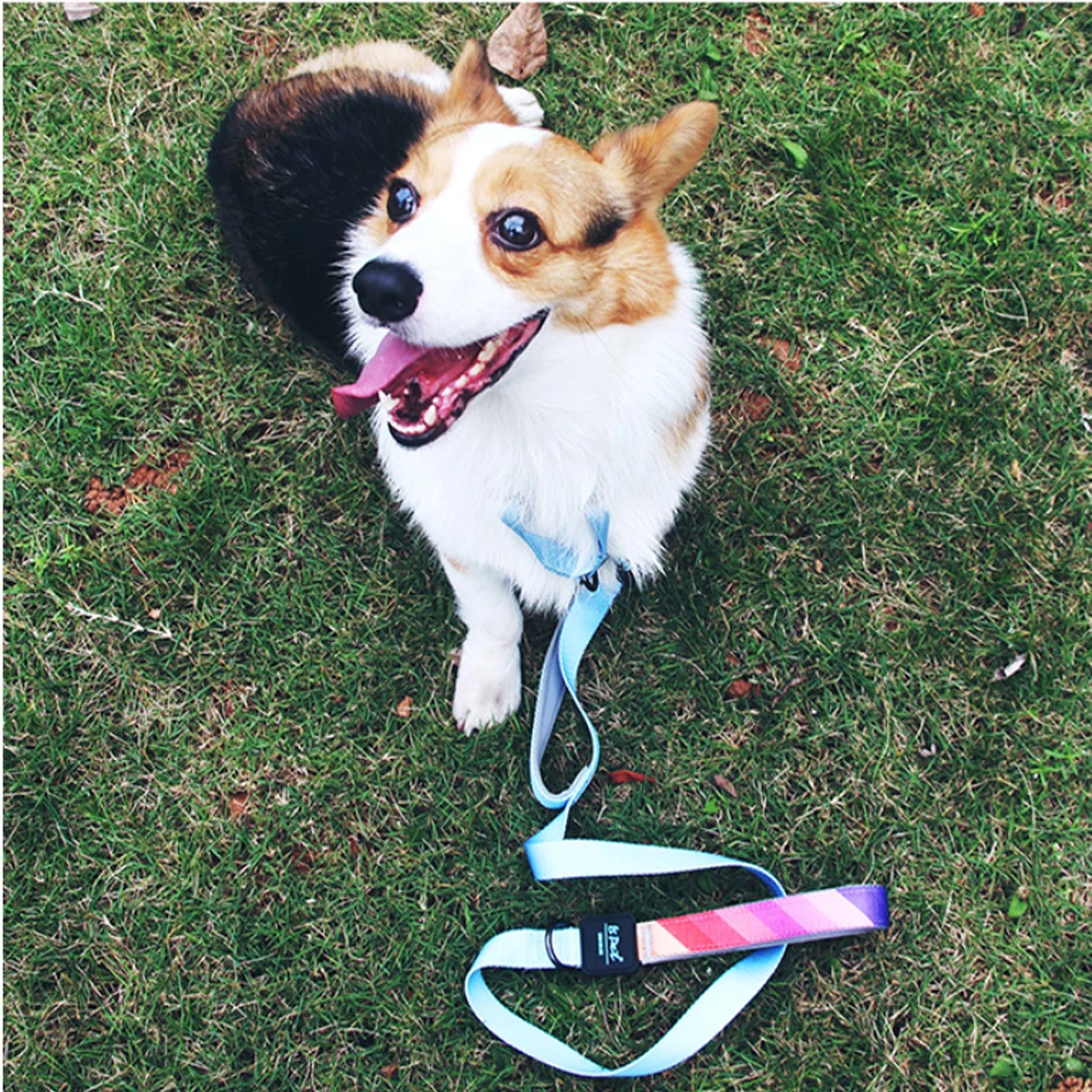 

Dog Cat Leash Double handles Adjustable Traction Rope Walking Lead dog Leash For Medium Large Dogs Pets