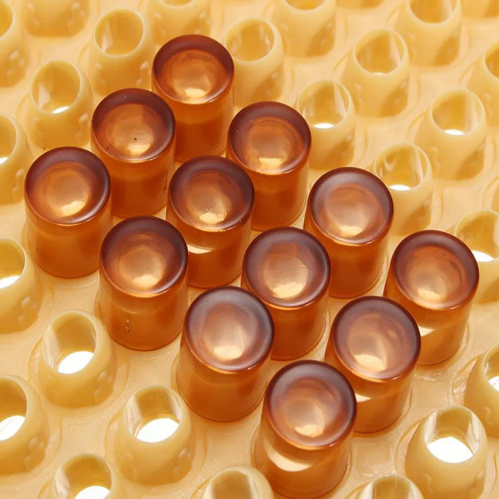 Инструмент пчеловода набор практическое вспомогательное устройство для пчеловодства Прочный вывод маток системы пчелиный Нико Ловца клетка 100 сотовых чашек Cupkit желтый