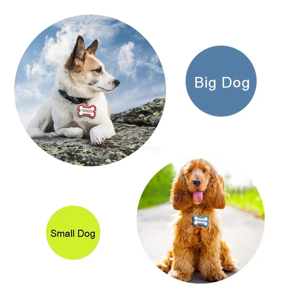 free puppies in idaho מוצר bone shape custom pet tag personalized engraved dogs id tags free hook free puppies in idaho מוצר bone shape custom pet tag personalized engraved dogs id tags free hook