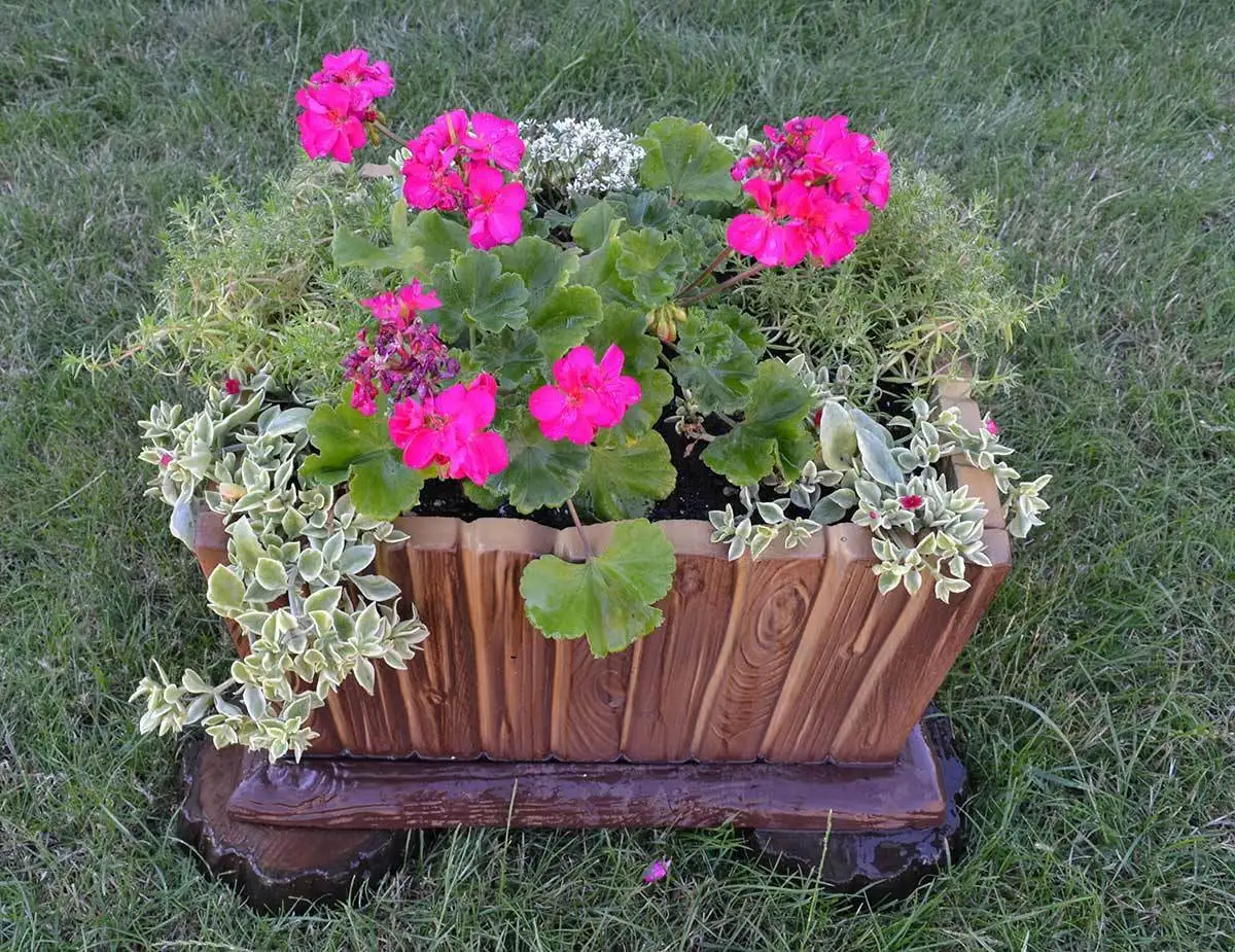 compare prices on diy plastic garden- online shopping/buy low compare prices on diy plastic garden- online shopping/buy low