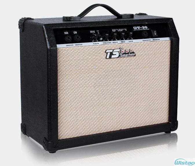 30W Digital Acoustic Guitar Amp Amplifier Speaker