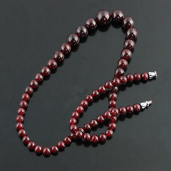 Ls51_a