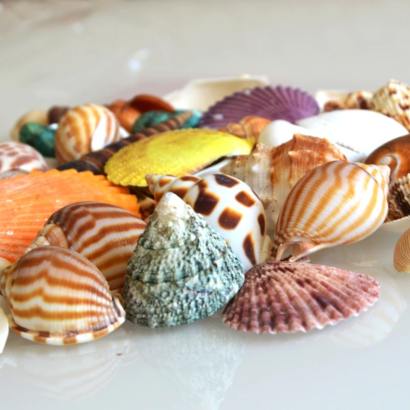

Conch Shell Coral Set Fish Tank Platform Wedding Holiday Mediterranean Photography Projects Decoration Crafts Shells Starfishes
