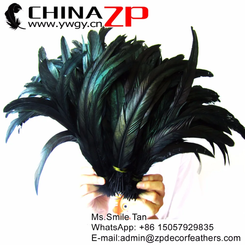 

Leading Supplier CHINAZP Wholesale Chicken Feathers 30 to 35cm Prime Natural Rooster Tail Feathers for Carnival Headpieces