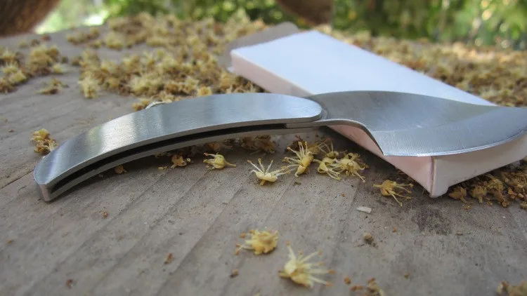 2068838203_742635196