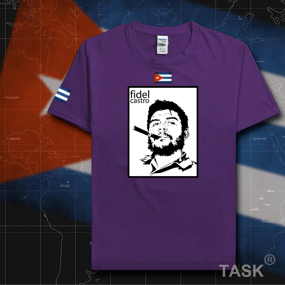 HSPE_Castro07_T01purple