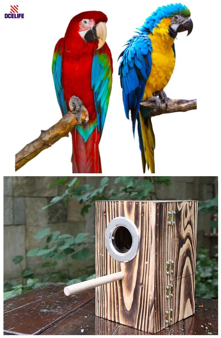 Professional Wood Upright Large Parrot Cage, Nest Box Cages Special For
